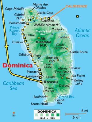 Dominique