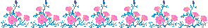 41.gif