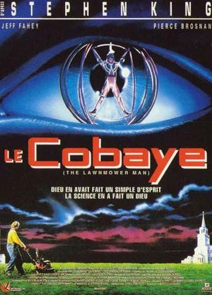 cobaye