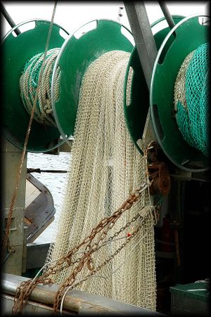 Honfleur-19a.jpg