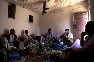 Seance de Qat chez Fares le cultivateur