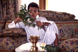 Seance de Qat au Palais, Jeune Cheikh