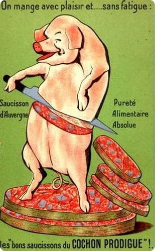 cochon.jpg