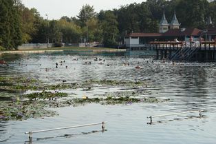 980-Héviz-lac thermal