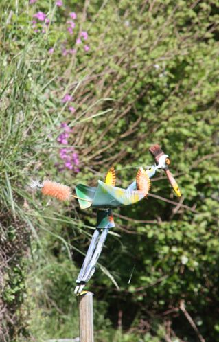 Insolites-2-5951--Oiseau-metallique-jpg