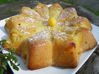 gateau-mirabelles-1.jpg