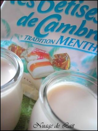 yaourts b+®tises de Cambrai 002-1