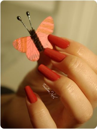LmCosmetic-LesMusiciensDeBreme-6