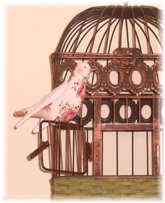 Oiseau Christelle 03