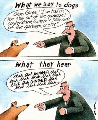 G.Larson