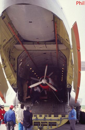 il 76 5 copie