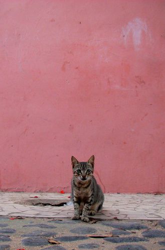 DSC05091