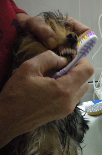 dents