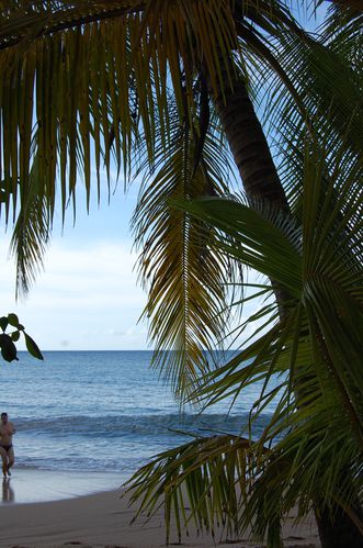 guadeloupe-nov-2011 0057