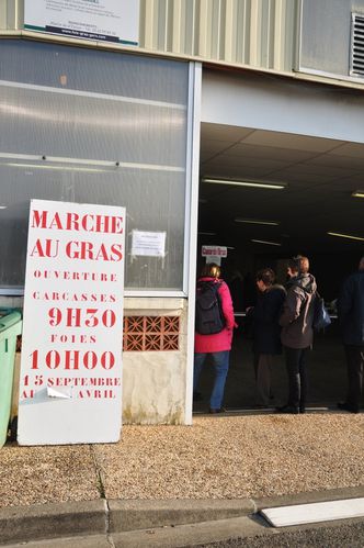 Stage foie gras confits 2013 (6)