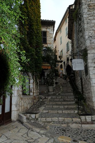 Septembre-2013-8516.JPG