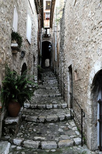 Septembre-2013-8588.JPG