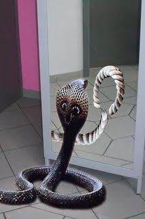 miroir-20magique.jpg