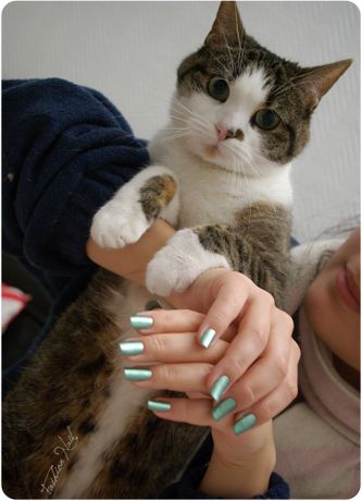 PerfectMol-ten-3