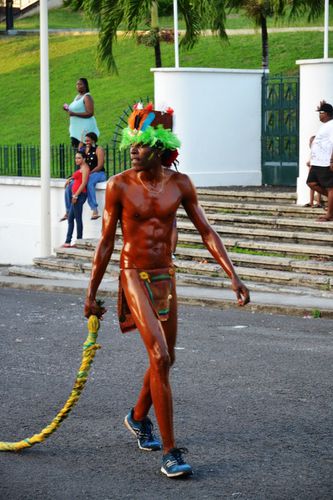 2014 01 19 Voukoum Z'indien (3) (Copier)