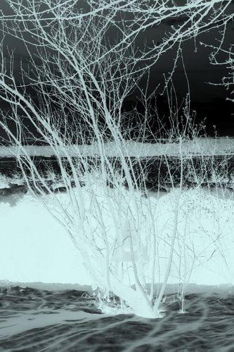 2013-03-16-DeMaFenetre#11 (3)