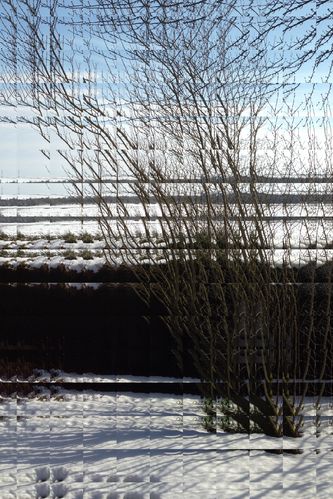 2013-03-16-DeMaFenetre#11 (6)