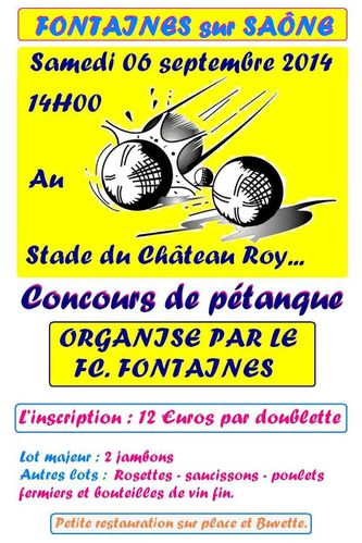 petanque 2014 2