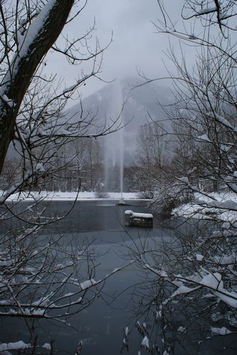DSC03367