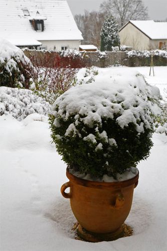 Neige à Rilhac Rancon