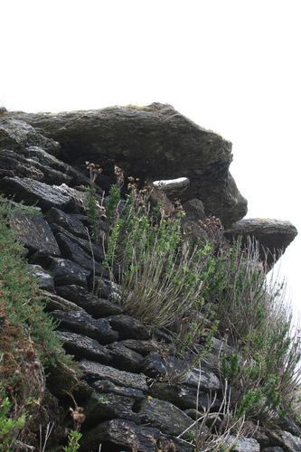 dalle-2-sud-ancienne-batterie-porsliogan.jpg