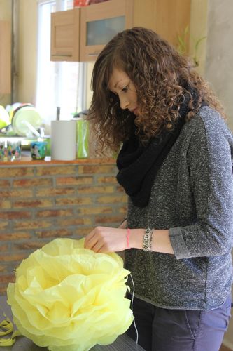 2013-9531.JPG