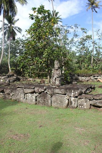Hikokua11