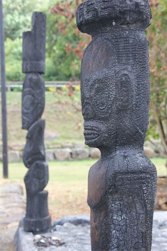 taipivai en cendres 024