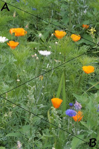 juin2011_013-copie.jpg