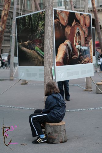 014-copie.jpg