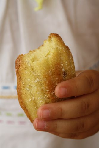 madeleines the best