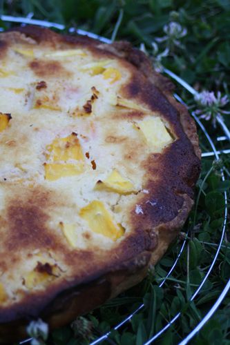 tarte mangue coco (3)