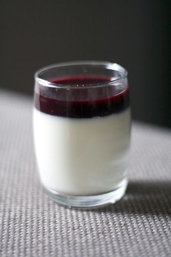 panna cotta myrtilles