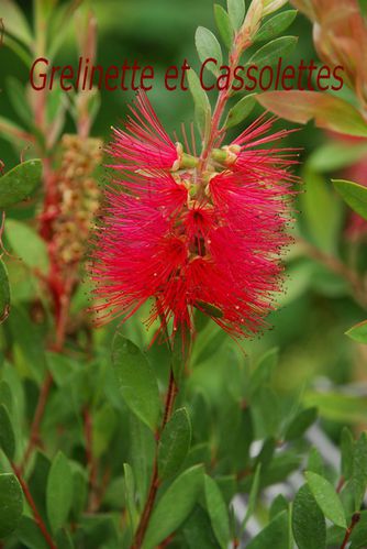Mai-2010-2299T.jpg