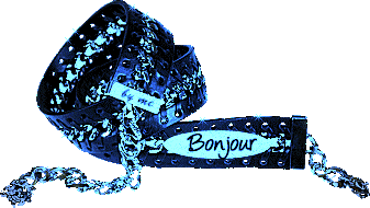 BONJOUR VBM34