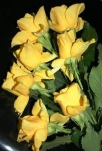 Copie-de-Roses-jaunes-05-08-001.jpg