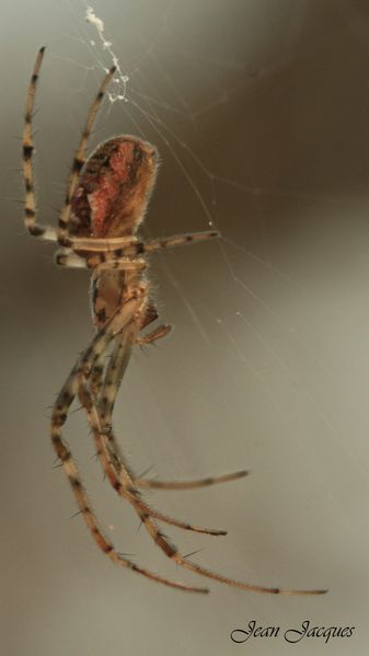 Janv-2010 2763bis