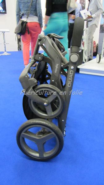 INGLESINA 0048