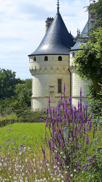 Château Chaumont sur Loire 0003