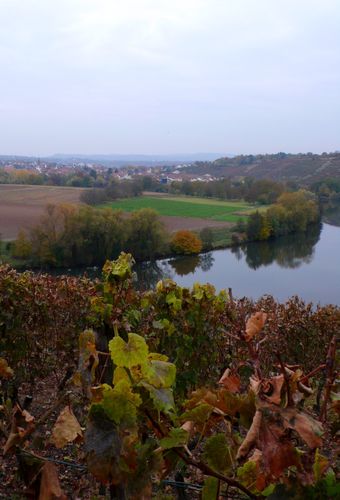kirchheimvins bordneckarvue