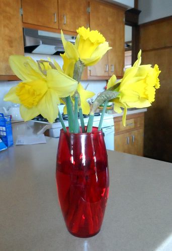 jonquilles-sm.jpg
