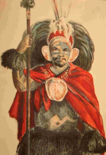 roi1