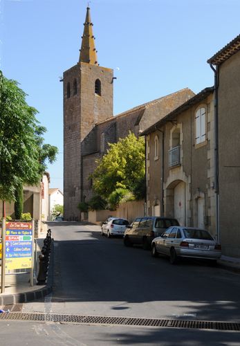 FC2_0590.JPG