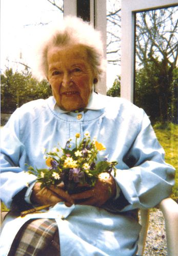 100-ANS-rec.jpg