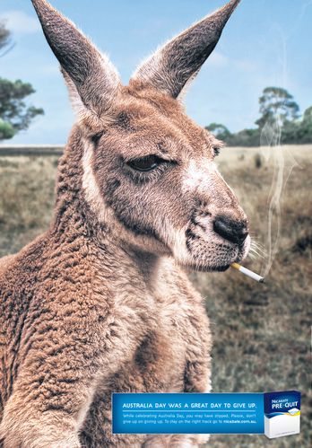 nicabate-australie-tbwa-kangoroo.jpg